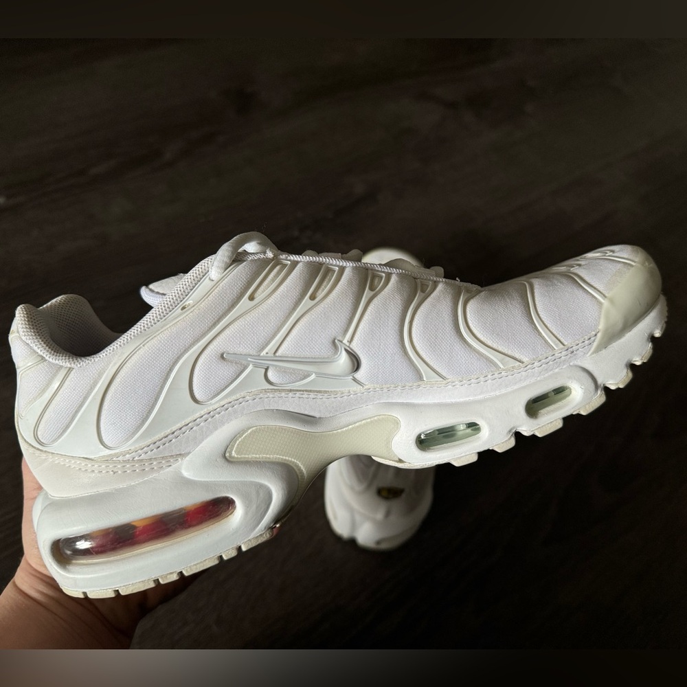 Nike Air Max Plus sneakers